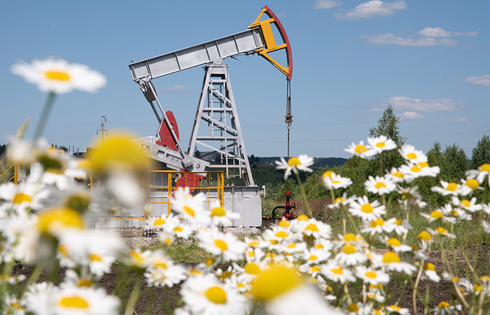 Нефть Brent подорожала до $66,31 за баррель