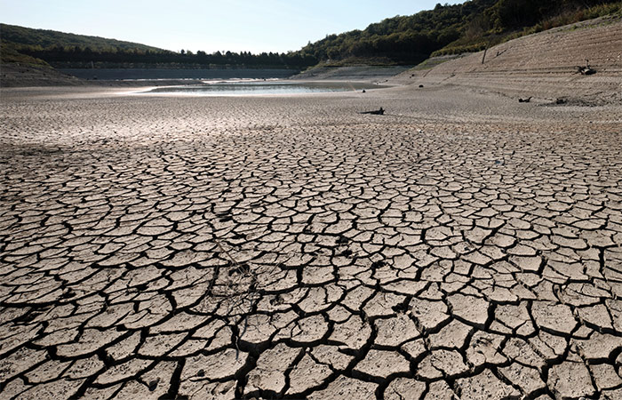 Глава Минсельхоза призвала ускорить создание засухоустойчивых сортов