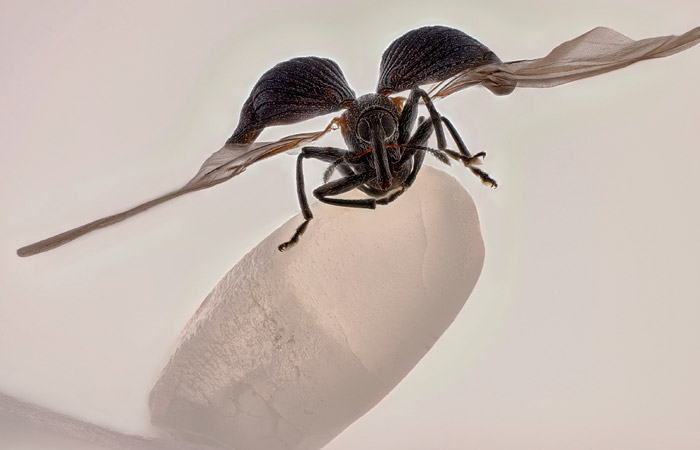 Что произошло в мире науки. Вечерний дайджест