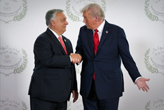 Bloomberg сообщил о планах Трампа провести переговоры с Орбаном 8 ноября