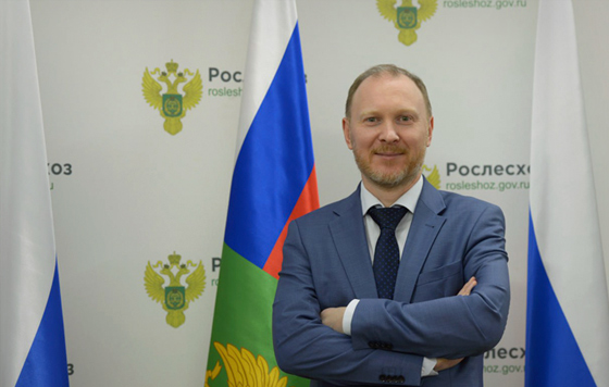 Замглавы Рослесхоза: Бизнес с точки зрения платы за лес пока находится в неравных условиях