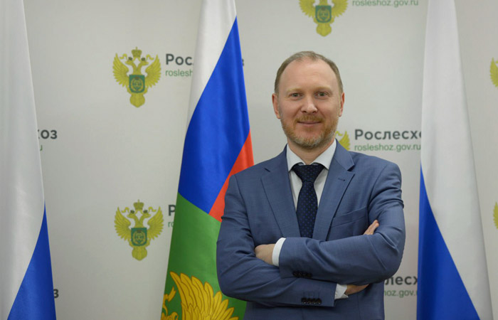 Замглавы Рослесхоза: Бизнес с точки зрения платы за лес пока находится в неравных условиях
