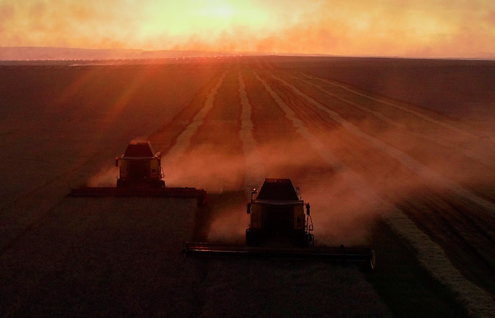 Российский зерновой союз заявил о сокращении экспорта зерна в июле-октябре на четверть