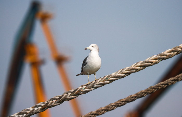 Генпрокуратура увеличила требования в споре о взыскании в доход РФ морского порта в Туапсе