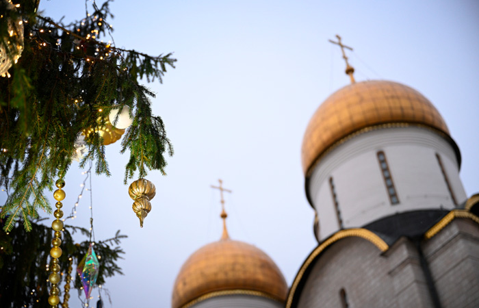 Елку для Соборной площади Кремля нашли в Рузском округе Подмосковья