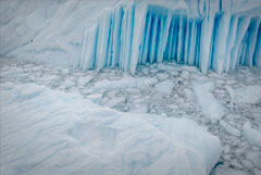Что произошло в мире науки. Вечерний дайджест