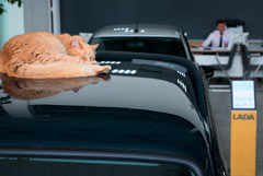  "" ,     Lada  2026 .      