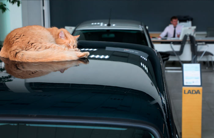 Р’ &quot;РђРІС‚РѕР’РђР—Рµ&quot; Р·Р°СЏРІРёР»Рё, С‡С‚Рѕ РёРЅРґРµРєСЃР°С†РёСЏ С†РµРЅ РЅР° Lada РІ 2026 Рі. РґРѕР»Р¶РЅР° СѓС‡РёС‚С‹РІР°С‚СЊ РќР”РЎ Рё СЂРѕСЃС‚ СЃРµР±РµСЃС‚РѕРёРјРѕСЃС‚Рё