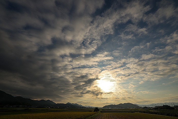 Ученые зафиксировали на Солнце первые сильные вспышки нового всплеска активности