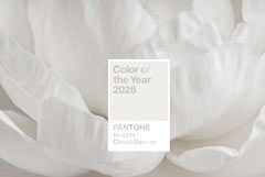   Pantone   2026 