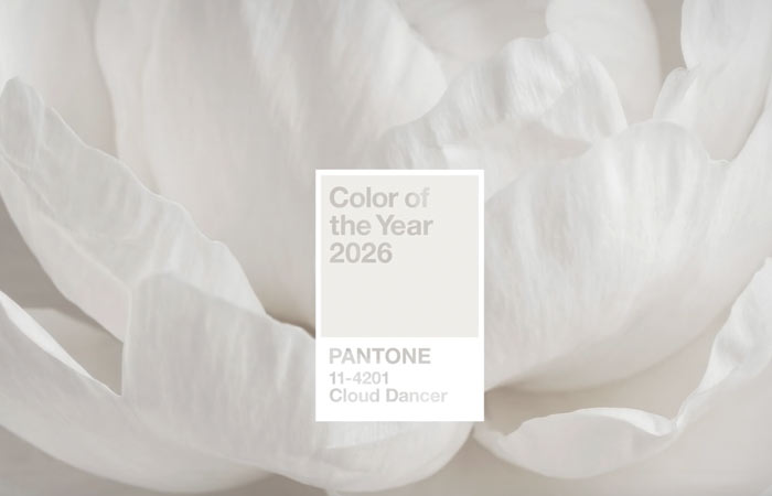 Институт цвета Pantone назвал цвет 2026 года