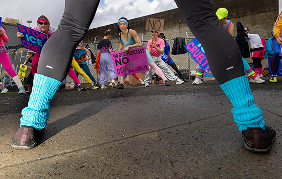 Фотохроника 8 декабря