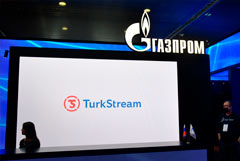 Оператор "Турецкого потока" переедет из Нидерландов в Венгрию