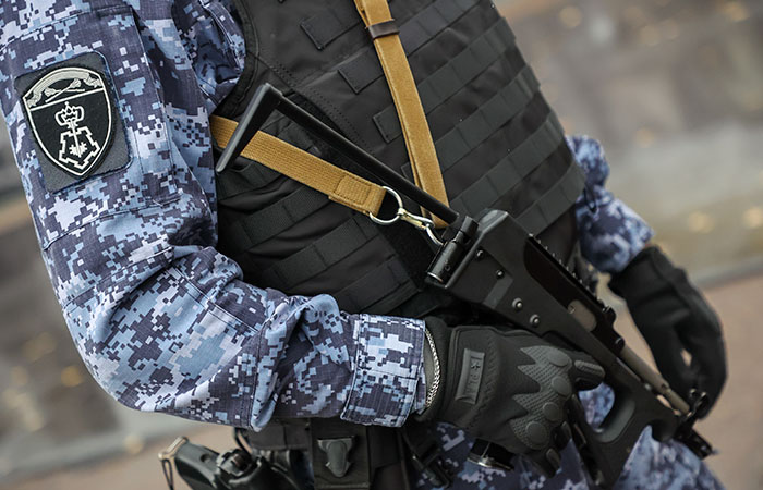 Ушаков допустил, что в Донбассе не будет ни российских, ни украинских войск