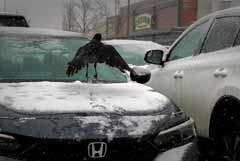 Honda отзывает 70,7 тыс. автомобилей в США