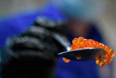 � ������ ����� �������, ��� ������� ���� � �� ������ � �� ���������