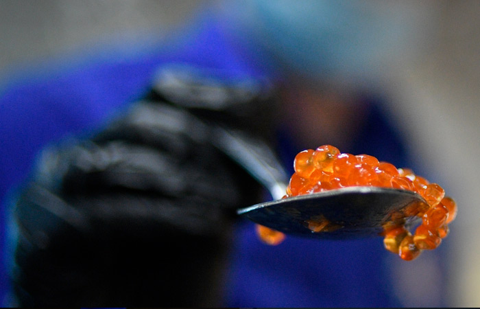 В Рыбном союзе заявили, что красной икры в РФ хватит и на Масленицу