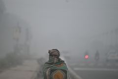 Британец приговорен в ДНР к 13 годам колонии за наемничество