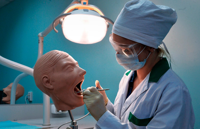 Заключенный со студентами-медиками целевой договор на время отпуска по беременности будет приостанавливаться