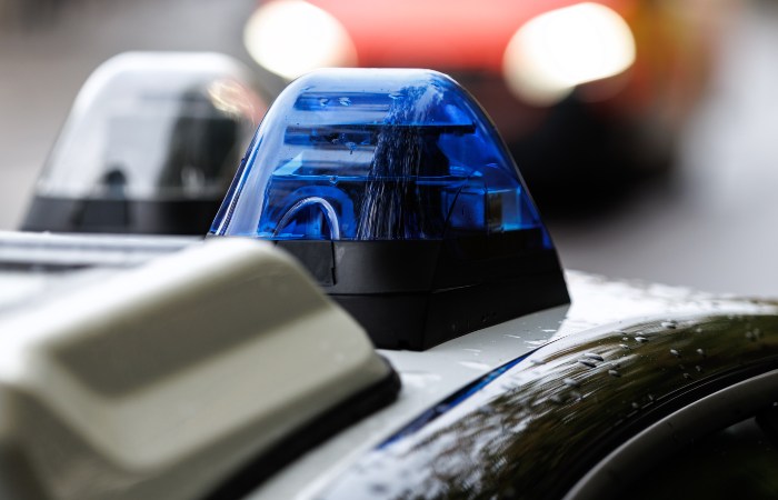 Полиция Италии задержала 384 человека в рамках антинаркотической операции