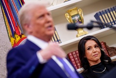 Тулси Габбард обвинила СМИ в попытке подрыва усилий Трампа по украинскому урегулированию