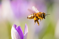 Что произошло в мире науки. Вечерний дайджест