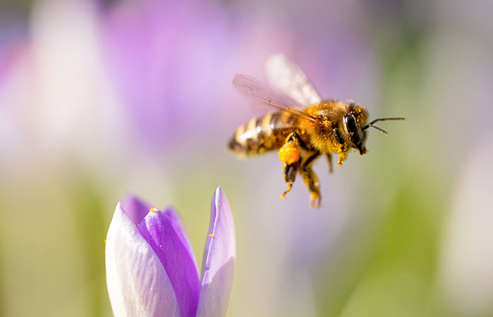 Что произошло в мире науки. Вечерний дайджест