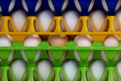 ���������� �������, ��� ����� � �������� ��������� ������