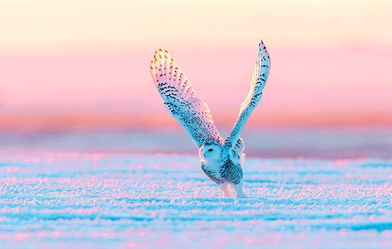 Лучшие фото недели