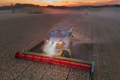 Сбор пшеницы в РФ в 2025 году увеличился до 91,4 млн т