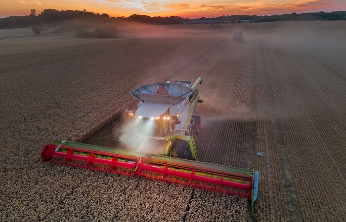 Сбор пшеницы в РФ в 2025 году увеличился до 91,4 млн т