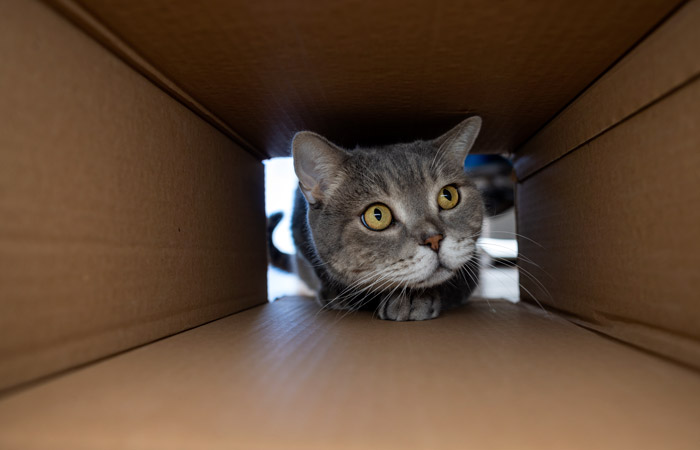 Что произошло в мире науки. Вечерний дайджест