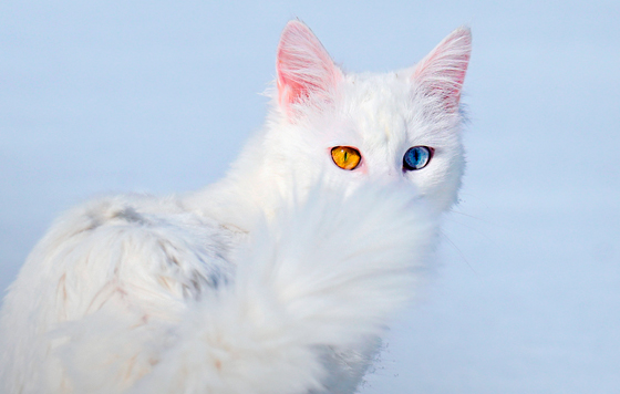 Лучшие фото 2025 года