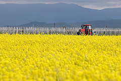 ������ ������ ������ �� ����� ��������� ������� � 2025 �., �������� �� ������ �� ���