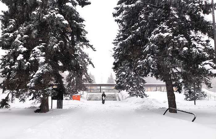 Мероприятия на улице в московских парках перенесены из-за снегопада