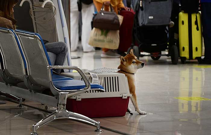 Более 20 рейсов задерживаются в аэропортах Уральского федерального округа