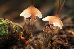 ��� ��������� � ���� �����. �������� ��������