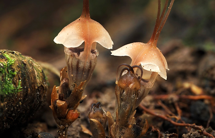 Что произошло в мире науки. Вечерний дайджест