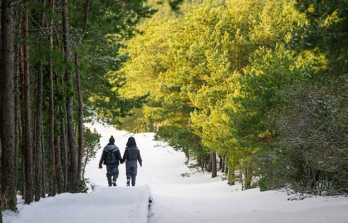На директора нацпарка "Куршская коса" завели дело о незаконной рубке леса