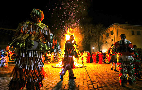 Фотохроника 14 января