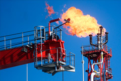 ��������� �� � 2025 �. �������� �� ������� �� �������� ����� ������, ��� � 2024 �.