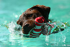 Что произошло в мире науки. Вечерний дайджест