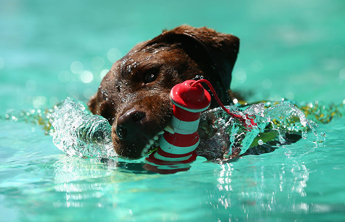 Что произошло в мире науки. Вечерний дайджест