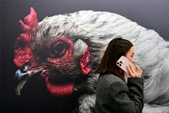 Российские производители мяса озабочены резким ростом импорта курятины из Китая