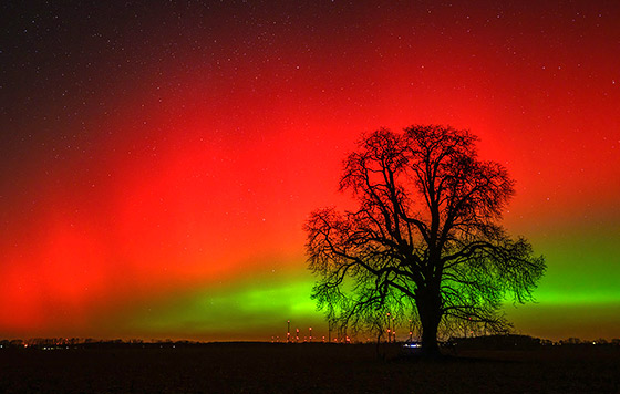 Лучшие фото недели