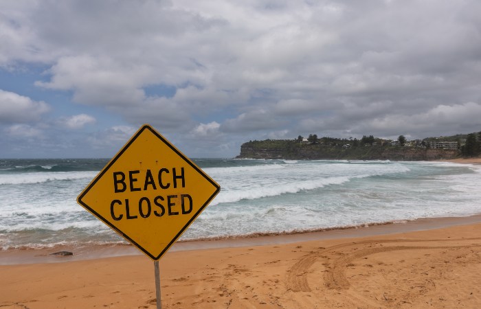 Умер один из четырех пострадавших при нападениях акул в Австралии