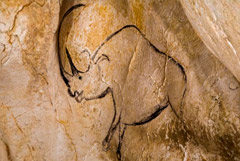 Что произошло в мире науки. Вечерний дайджест