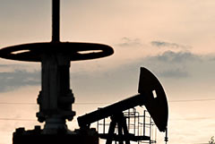 В Индии заявили, что снизили импорт нефти из РФ на 28% и могут снизить больше