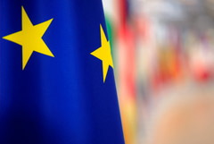 �� ���� ������� � ��������� ���������� ����������� � �������� ��������