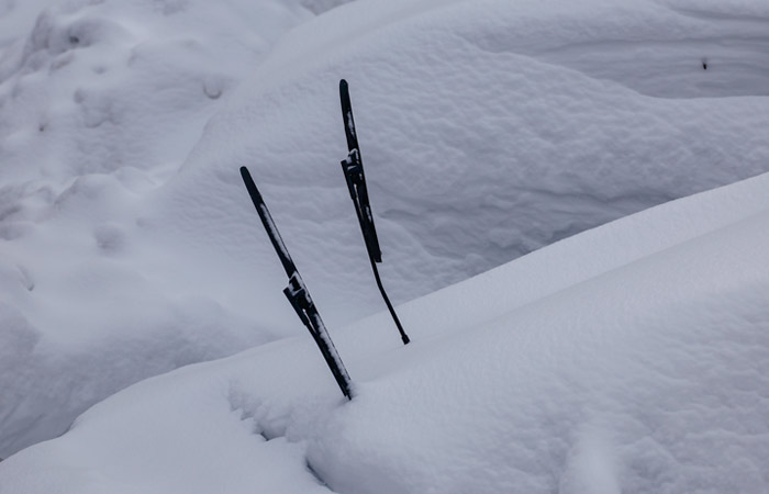 Метеорологи МГУ назвали январь аномально снежным для последних 200 лет